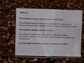 P1350554_P1350310
