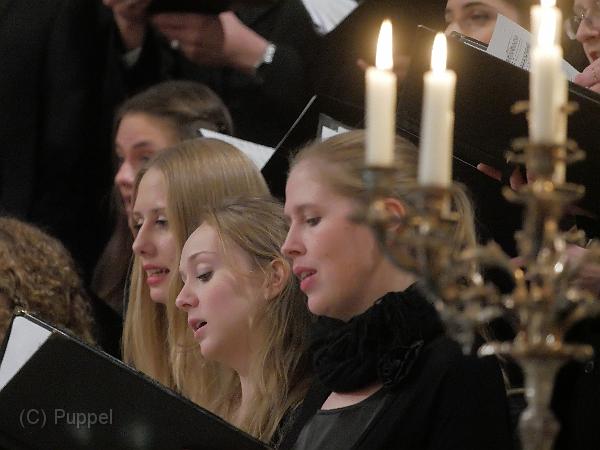 P1380328.JPG