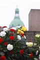 T-20161215-123131_IMG_0631-6