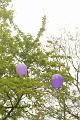 T-20170508-165812_IMG_0745-6