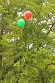 T-20170508-165854_IMG_0784-6