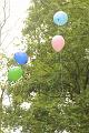 T-20170508-165908_IMG_0807-6
