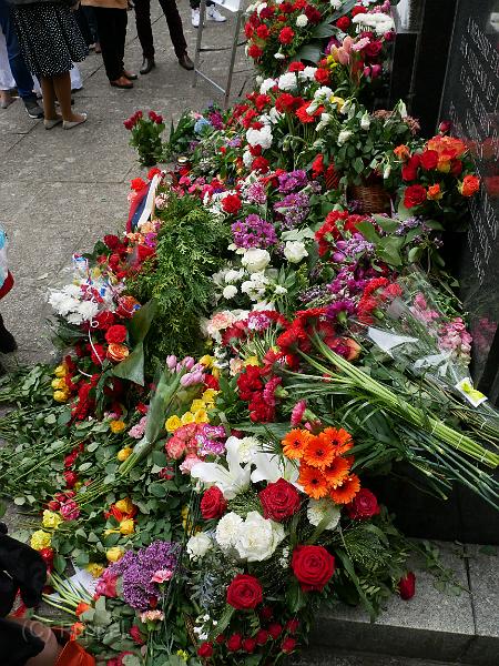 P1540477.JPG