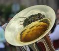 T-20170702-121439_IMG_7838-7a