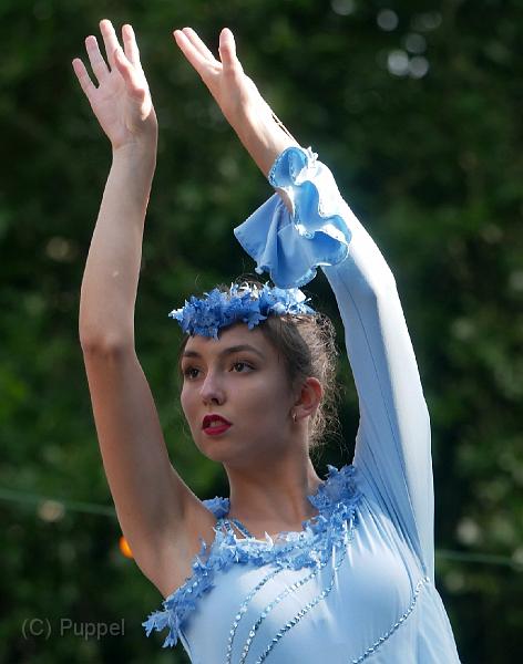 T-20170819-163104_P3870374-GXa.jpg