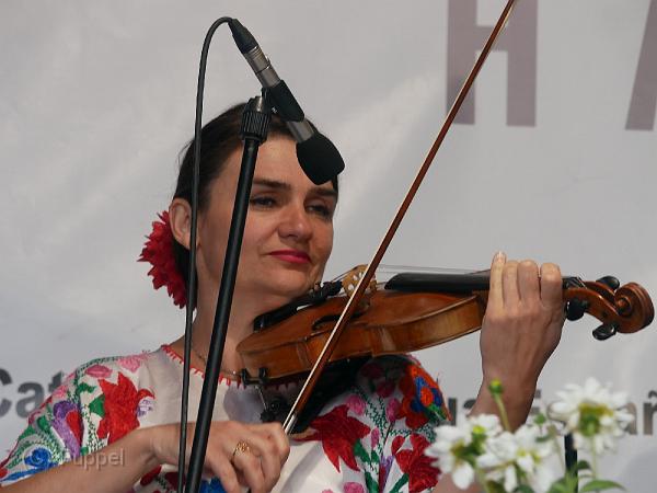 T-20170819-154522_P3860272-GX.JPG