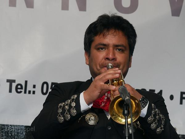 T-20170819-154527_P3860284-GX.JPG