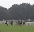 D-0032-T-20170821-052106_IMG_9520-7a