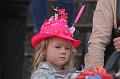 D-0274-T-20170821-052332_IMG_9672-7