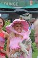 D-2822-T-20170821-044632_IMG_0470-7