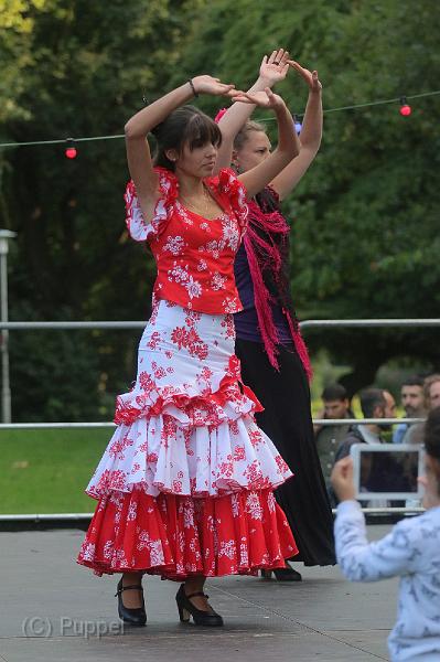 D-4785-T-20170821-050442_IMG_1086-7.JPG