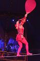 T-20170825-214848_IMG_9577-7