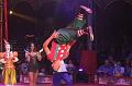 T-20170825-225654_IMG_0619-7