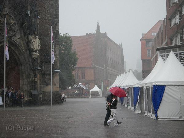 T-20170826-190414_P4100605-GX.JPG
