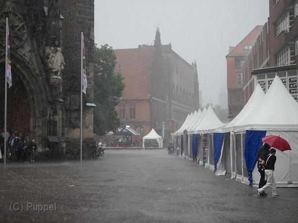 T-20170826-190416_P4100616-GX.JPG