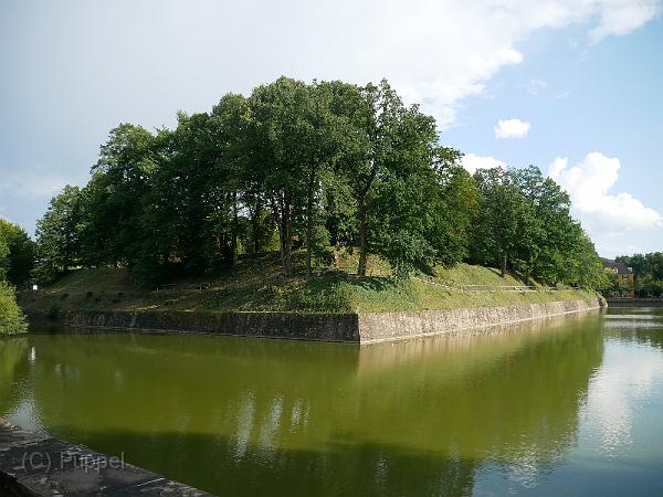 P4320612.JPG