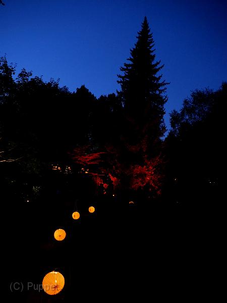 P4350740.JPG