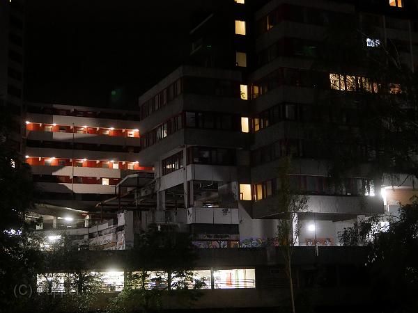 P4510688.JPG