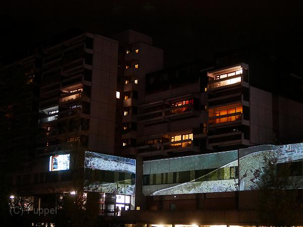 P4510744.JPG