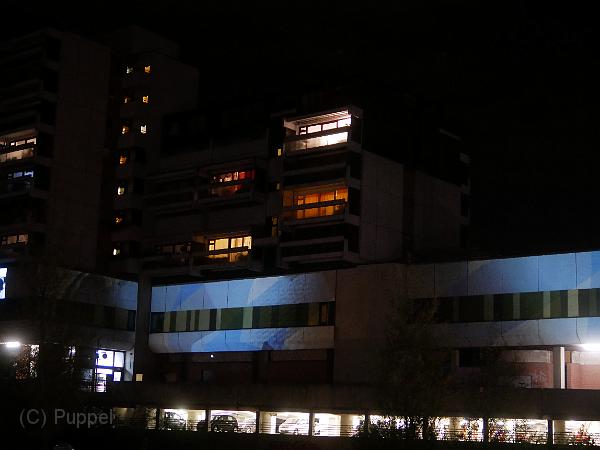 P4510886.JPG