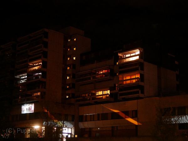 P4520035.JPG