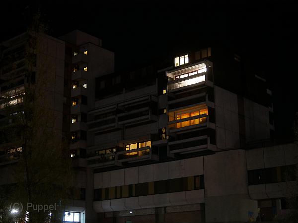 P4520373.JPG