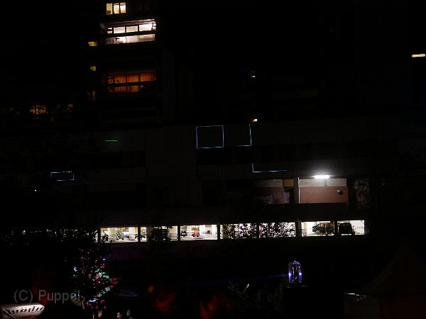 P4520430.JPG