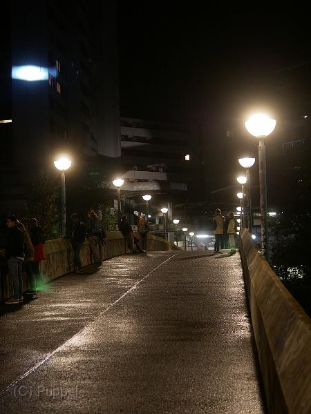 P4520459.JPG