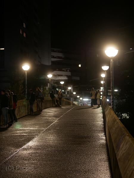 P4520465.JPG