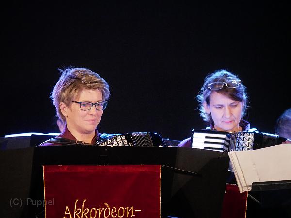 P4580634.JPG