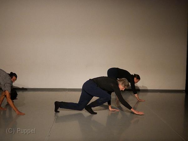 P4910272.JPG