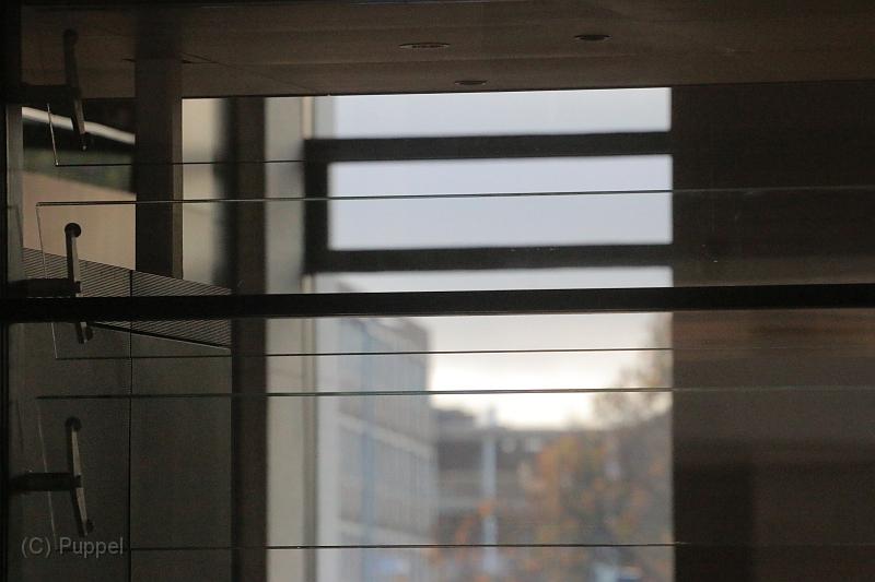 T-20171027-095255_IMG_9765-7.JPG