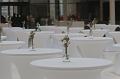 T-20171027-093541_IMG_9720-7