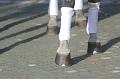 T-20171027-104154_IMG_0232-7