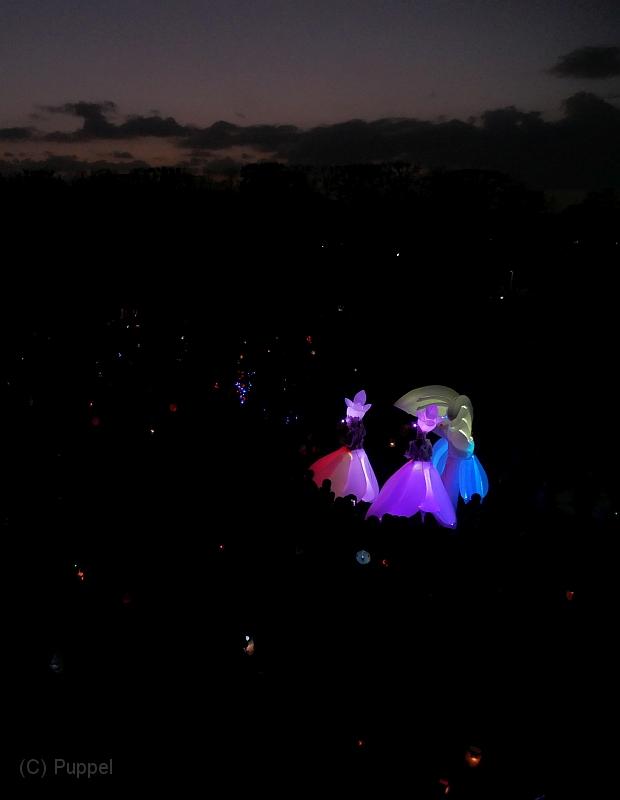 P5340870a.jpg