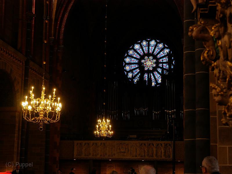 P5350954.JPG