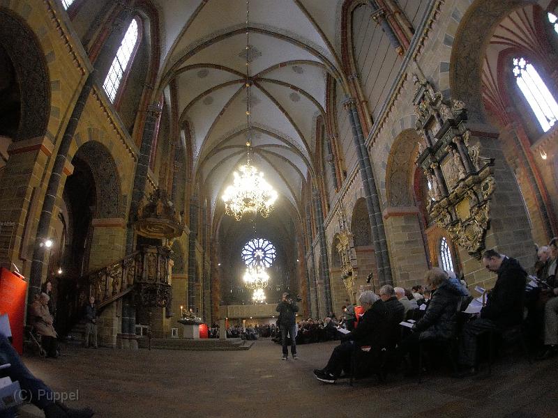 P5360311.JPG