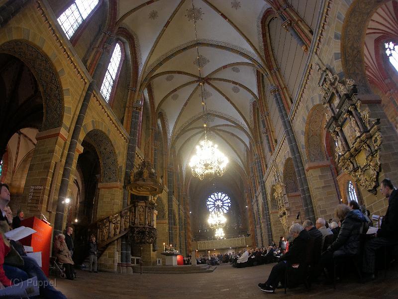 P5360344.JPG