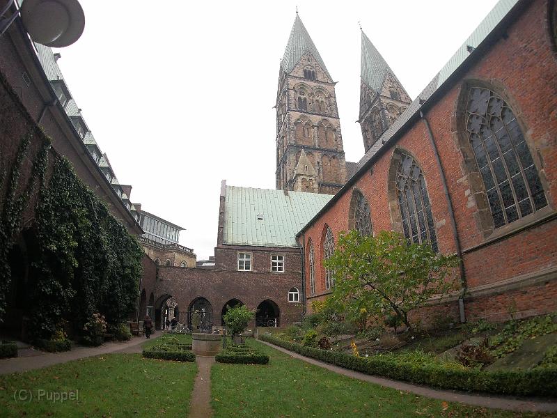 P5370778.JPG