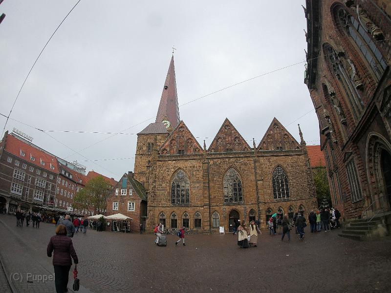 P5380134.JPG