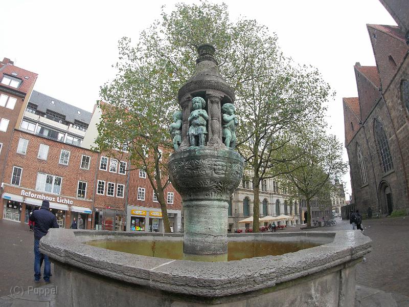 P5380142.JPG