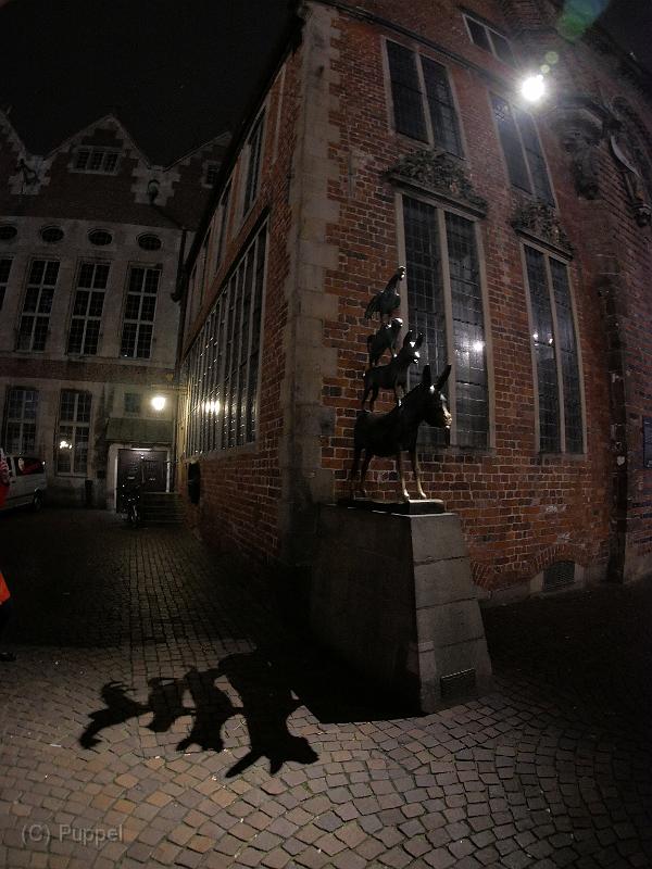 P5390228.JPG