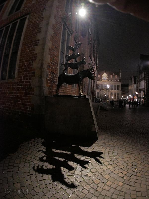 P5390232.JPG