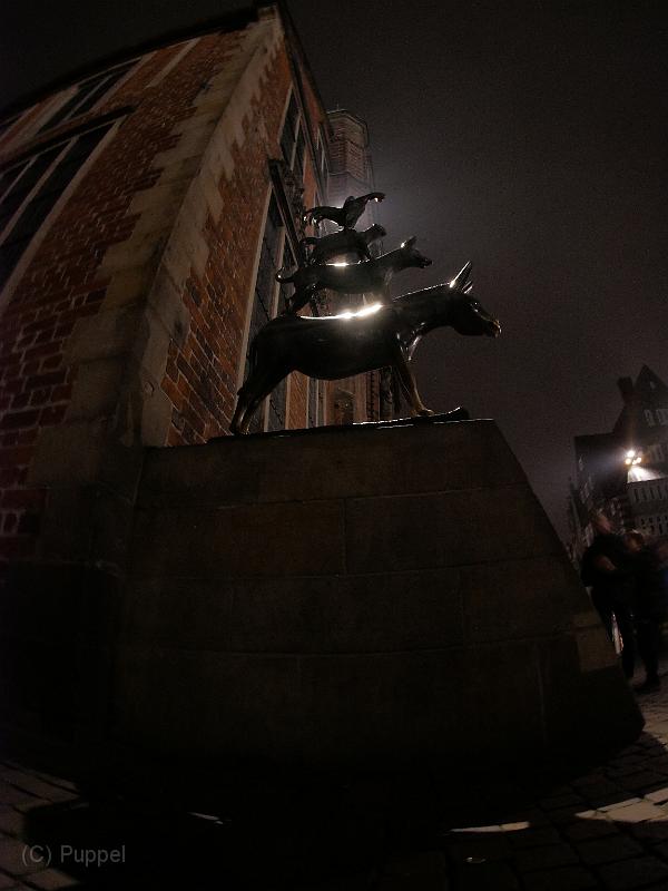 P5390235.JPG