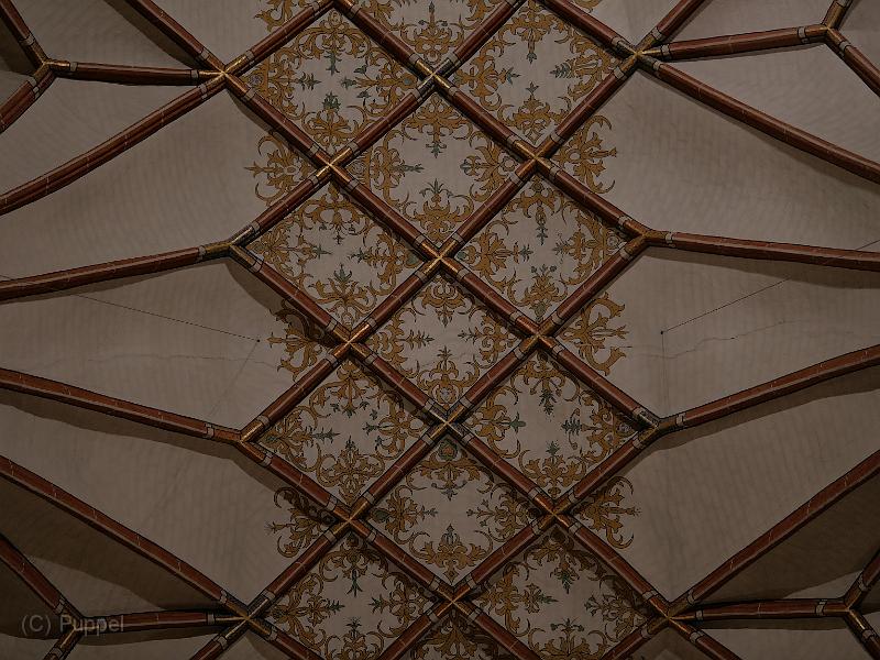 P5390392.JPG