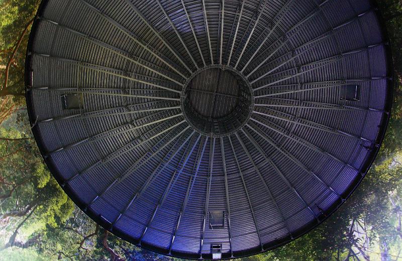 T-20171117-123005_P5750181-GXa.jpg