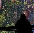 T-20171117-115356_IMG_0773-7a