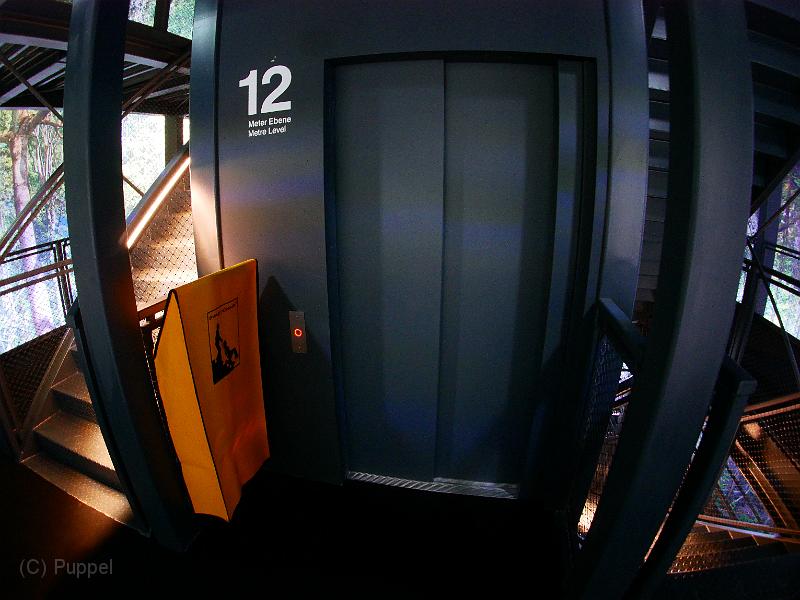 T-20171117-123154_P5750190-GX.JPG