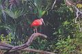 T-20171117-114408_IMG_0712-7
