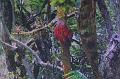 T-20171117-114457_IMG_0723-7